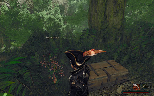 The local pepper is more like a weed than a vegetable. - Fire Peppers - Maracai Bay - Quests - Risen 2: Dark Waters - Game Guide and Walkthrough