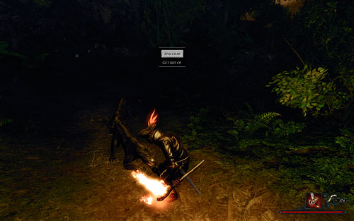 If you cross over the bridge, you'll in for a fight with a couple of panthers. - The Expedition - Maracai Bay - Quests - Risen 2: Dark Waters - Game Guide and Walkthrough