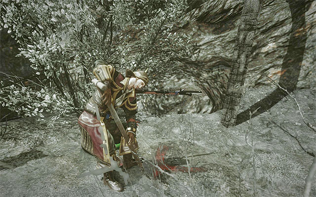 Dig out the treasure chest - Antigua - Legendary items - Risen 3: Titan Lords - Game Guide and Walkthrough