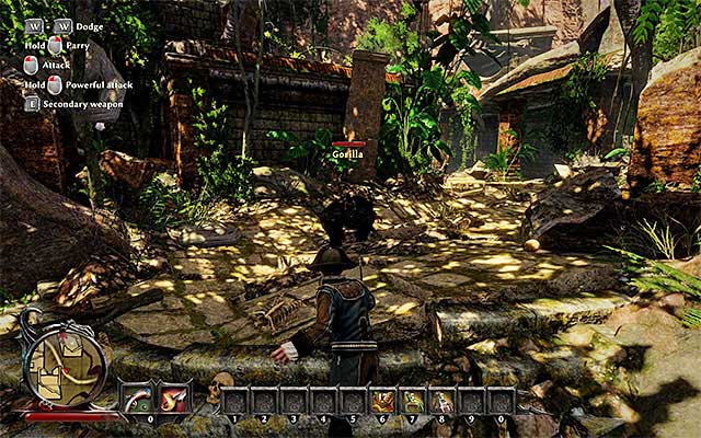 Try not to lose too much of your energy while fighting with the Gorilla. - Hunting for Treasure - Main quests - Crab Coast - Risen 3: Titan Lords - Game Guide and Walkthrough