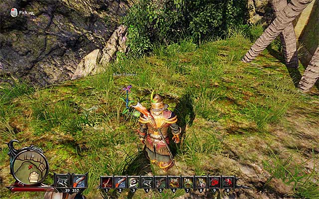 The Blue Flower. - Forbidden Fruit - Side Quests - Kila - Risen 3: Titan Lords - Game Guide and Walkthrough