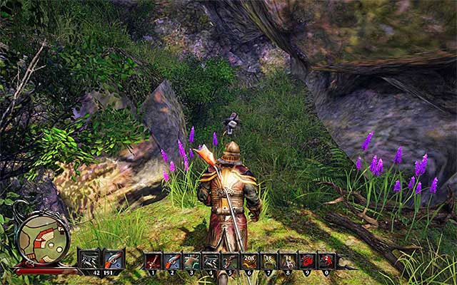 The area surrounding the caves of the monkeys. - Monkey Business - Side Quests - Kila - Risen 3: Titan Lords - Game Guide and Walkthrough