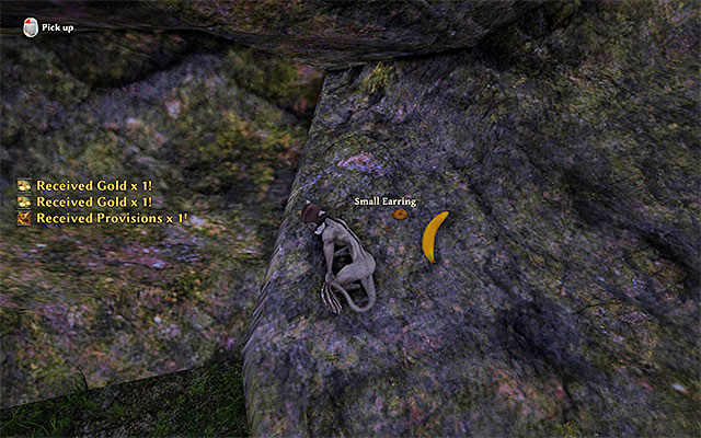 Control the monkey to reach the place in which the earring lies. - Monkey Business - Side Quests - Kila - Risen 3: Titan Lords - Game Guide and Walkthrough