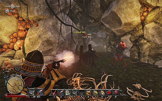 You can examine the cave and take care of the bats. - Tour of Taranis - Side Quests - Taranis - Risen 3: Titan Lords - Game Guide and Walkthrough