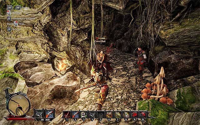 There are other monsters in this cave. - Tour of Taranis - Side Quests - Taranis - Risen 3: Titan Lords - Game Guide and Walkthrough