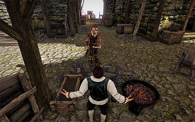 Take control over Pansel - Become a Voodoo Master - Side Quests - Antigua - Risen 3: Titan Lords - Game Guide and Walkthrough