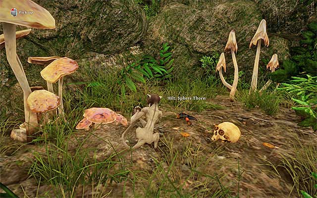 Only the monkey can reach the hilt - Re-Forge Sphere Torn - Weapons quests - Risen 3: Titan Lords - Game Guide and Walkthrough