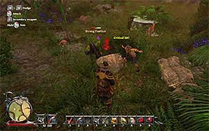 Panther - Bestiary - Risen 3: Titan Lords - Game Guide and Walkthrough