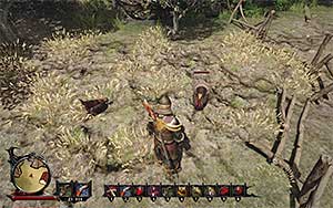 Turkey - Bestiary - Risen 3: Titan Lords - Game Guide and Walkthrough