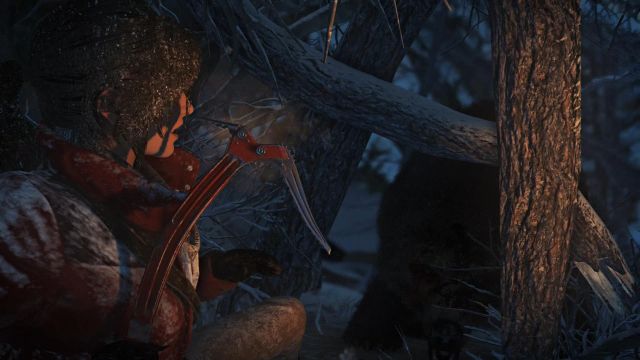 Soon, you will reach a makeshift shelter of roots of the tree above, which will in a moment stop the bears charge - Rise of the Tomb Raider: Investigate the ruins walkthrough - Siberian Wilderness - Echoes of the Past - Rise of the Tomb Raider Guide