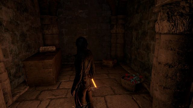After you pass through the chamber with murals on walls and jump over onto three successive columns, you walk into a small corridor - Rise of the Tomb Raider: Documents, Abandoned Mine secrets, locations, tips - Abandoned Mine - Rise of the Tomb Raider Guide