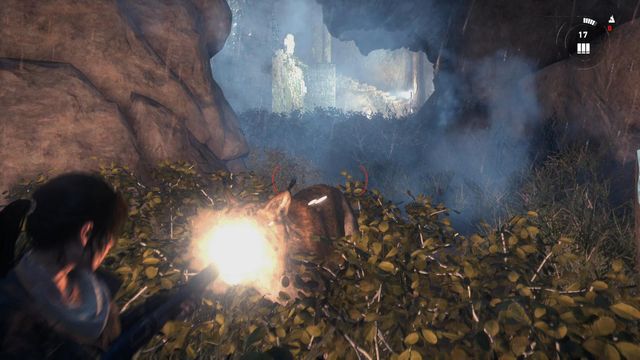 Around, there is a bobcat lurking, so you need to keep your shotgun ready and be prepared to fight the animal back - Rise of the Tomb Raider: Scale the Cathedral to find the entrance, walkthrough - Silent Night - Rise of the Tomb Raider Guide