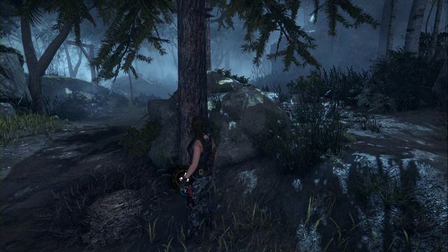At the tree, by the path in the forest - Rise of the Tomb Raider: Chests and crypt treasures, Geothermal Valley secrets - Geothermal Valley - Rise of the Tomb Raider Guide