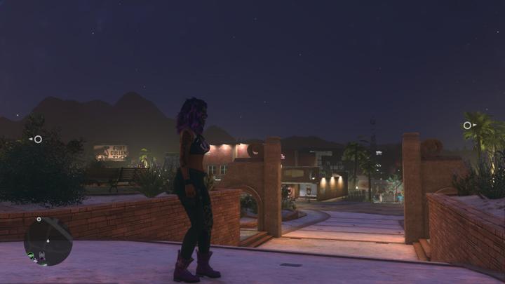 Saints Row 2022 features Accessibility options found in the Settings menu - Saints Row 2022: HUD - How to hide? - Appendix - Saints Row Guide, Walkthrough