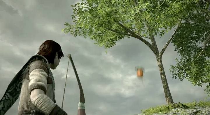 One tree contains from 2 to 6 fruits - they can also be found on nearby smaller trees - How do I increase my health in Shadow of the Colossus? - FAQ - Shadow of the Colossus Game Guide