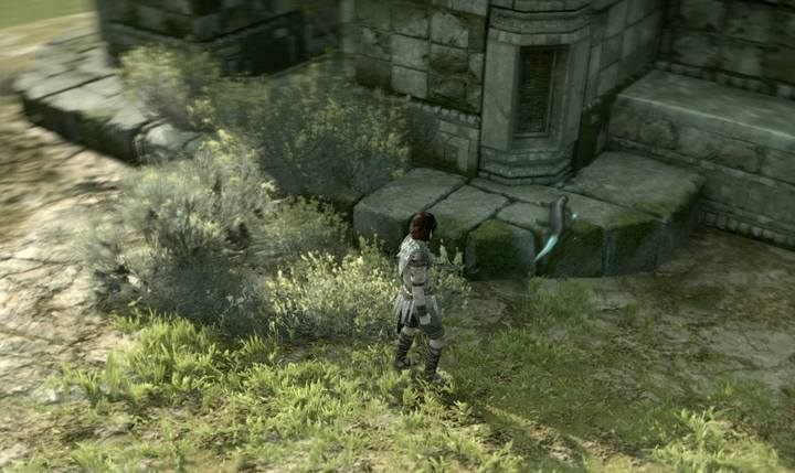 Shadow of the Colossus lizard location map - find all the lizards