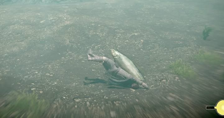 2 - Trophies in Shadow of the Colossus - Appendix - Shadow of the Colossus Game Guide