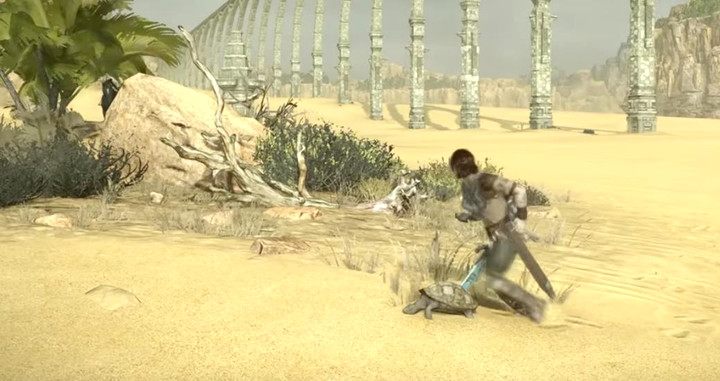 4 - Trophies in Shadow of the Colossus - Appendix - Shadow of the Colossus Game Guide