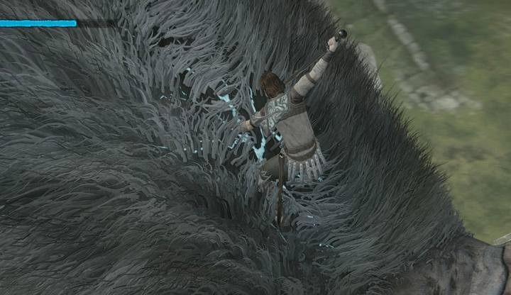 A crack in the colossus skin - Colossus battles in Shadow of the Colossus - Basics - Shadow of the Colossus Game Guide