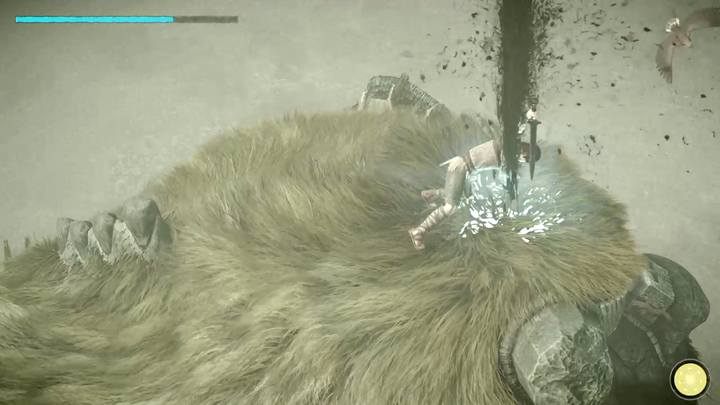 A vital point located at the top of the opponents head - Colossus 1 Valus | Shadow of the Colossus Walkthrough - Walkthrough - Shadow of the Colossus Game Guide