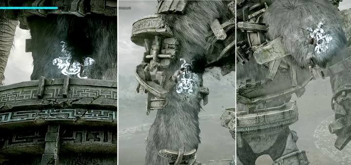 There are three vital points on the opponents body: stomach, the top of its head, and the right hand (only on hard difficulty level) - Colossus 3 - Gaius | Shadow of the Colossus Walkthrough - Walkthrough - Shadow of the Colossus Game Guide