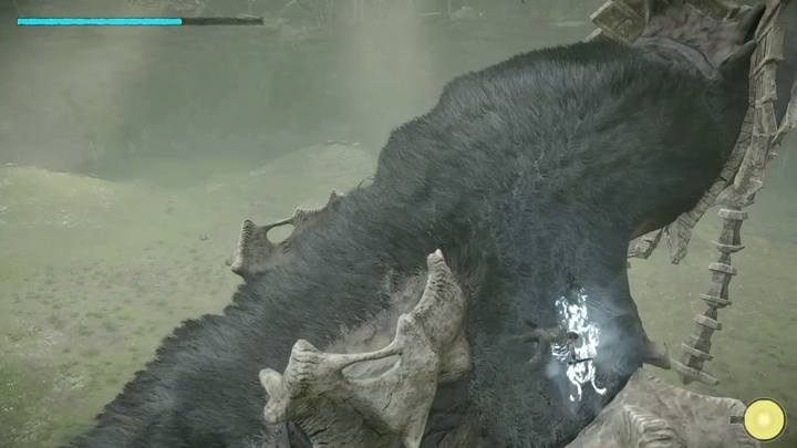 The two additional weak spots are found in the upper parts of the beasts front legs - Colossus 4 - Phaedra | Shadow of the Colossus Walkthrough - Walkthrough - Shadow of the Colossus Game Guide