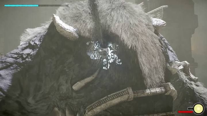 A vital point on the boss back - Colossus 6 - Barba | Shadow of the Colossus Walkthrough - Walkthrough - Shadow of the Colossus Game Guide