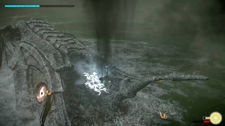 The boss main vital point is located on its head - Colossus 7 - Hydrus | Shadow of the Colossus Walkthrough - Walkthrough - Shadow of the Colossus Game Guide