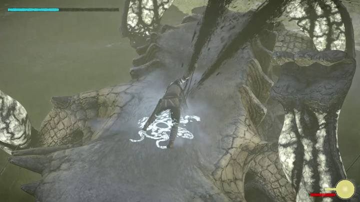 Vital points are located on the belly of the beast - Colossus 8 - Kuromori | Shadow of the Colossus Walkthrough - Walkthrough - Shadow of the Colossus Game Guide