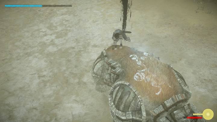 There isnt a special way of defeating this opponent - Colossus 11 - Celosia | Shadow of the Colossus Walkthrough - Walkthrough - Shadow of the Colossus Game Guide