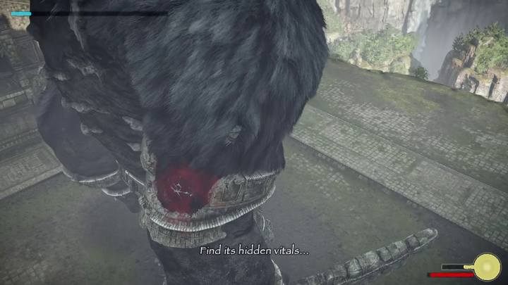 Destroy the vital on the boss right elbow to make the beast release its weapon - Colossus 15 - Argus | Shadow of the Colossus Walkthrough - Walkthrough - Shadow of the Colossus Game Guide