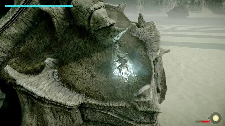 The vital points are found on top of the opponents head and next to its tail - Colossus 2 - Quadratus | Shadow of the Colossus Walkthrough - Walkthrough - Shadow of the Colossus Game Guide