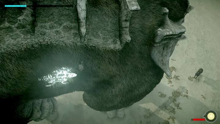 On higher levels of difficulty you will also notice a point located at the lateral side of the torso - Colossus 2 - Quadratus | Shadow of the Colossus Walkthrough - Walkthrough - Shadow of the Colossus Game Guide