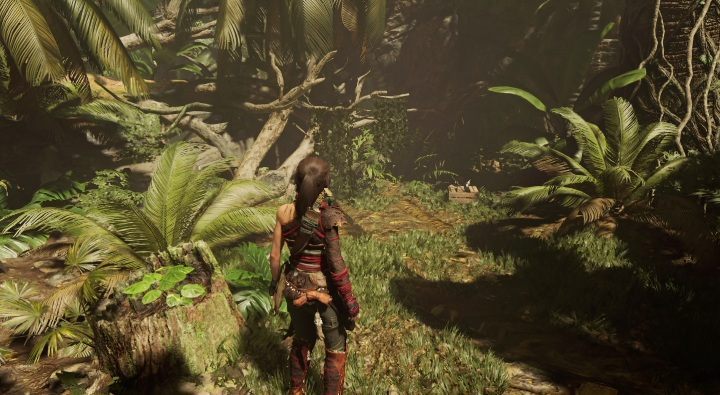 Operation Update (10) - after reaching this point on the map, you should notice the document right away - Treasures, Relics, and Documents in Kuwaq Yaku | Secrets in SotTR - Kuwaq Yaku - Shadow of the Tomb Raider Game Guide