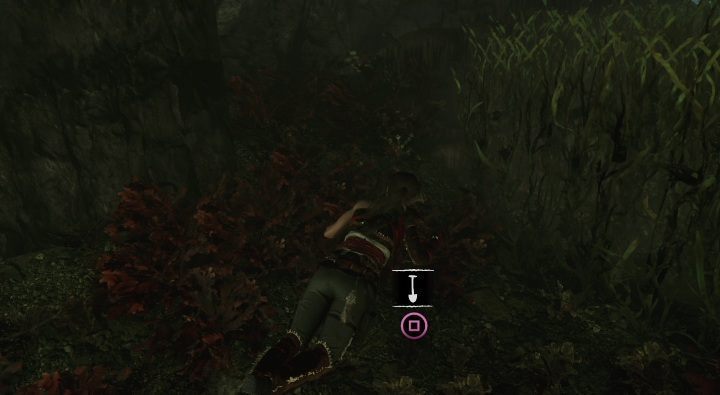 Underwater, in the Temple of Life, you can find the hideout number 13 - Treasures, Relics, and Documents in Kuwaq Yaku | Secrets in SotTR - Kuwaq Yaku - Shadow of the Tomb Raider Game Guide