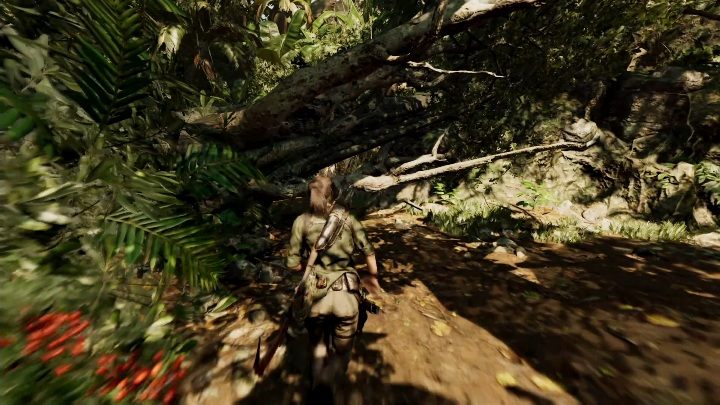 Marco will send you to look for his son - Kuwaq Yaku side quests in Shadow of the Tomb Raider - Side Quests - Shadow of the Tomb Raider Game Guide