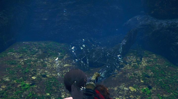 The fifth cache (5) is under water, between branches - Chests and survivalist cache in The Hidden City | Secrets in SotTR - The Hidden City - Shadow of the Tomb Raider Game Guide