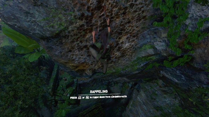 The cliff can be crossed using trees - Challenge Tombs - Peruvian Jungle Tombs in Shadow of the Tomb Raider Game - Challenge Tombs - Shadow of the Tomb Raider Game Guide