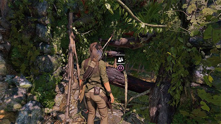 Now start walking along with Jonah - Solving the bridge riddle and fighting jaguar in Peruvian Jungle - Rough Landing - Peruvian Jungle - Shadow of the Tomb Raider Game Guide