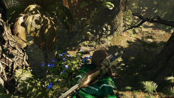 The flowers needed to complete this challenge grow exclusively on trees - Challenges in Peruvian Jungle | Secrets in Shadow of the Tomb Raider - Peruvian Jungle - Shadow of the Tomb Raider Game Guide