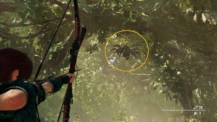 Totems hang on trees - Challenges in Kuwaq Yaku | Secrets in Shadow of the Tomb Raider - Kuwaq Yaku - Shadow of the Tomb Raider Game Guide