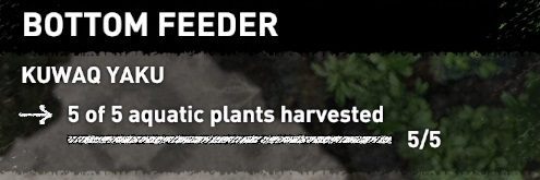 If you want to finish the Bottom Feeder challenge you have to collect 5 red plants - Challenges in Kuwaq Yaku | Secrets in Shadow of the Tomb Raider - Kuwaq Yaku - Shadow of the Tomb Raider Game Guide