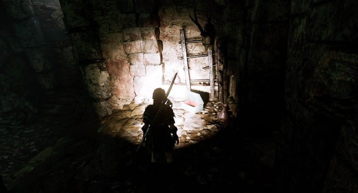 Ceramic Jar (2) - at the extreme right end of the main room you have to climb to the platform - on the right side of the wall - Chests, relicts and documents in Cozumel | Secrets in Shadow of the Tomb Raider - Cozumel - Shadow of the Tomb Raider Game Guide
