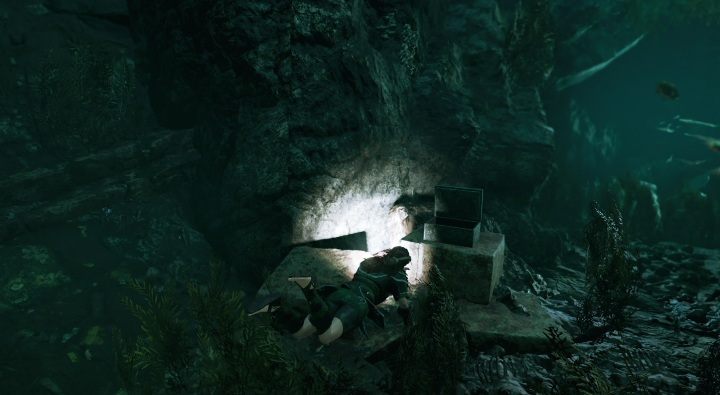 Carved Bowl (3) - this relict can be found underwater - Chests, relicts and documents in Cozumel | Secrets in Shadow of the Tomb Raider - Cozumel - Shadow of the Tomb Raider Game Guide