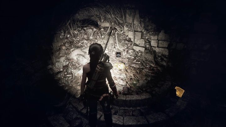 A Warning (4) - this document is near a water body - Documents and relics in Cenote | Secrets in Shadow of the Tomb Raider - Cenote - Shadow of the Tomb Raider Game Guide