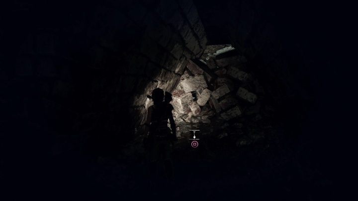 Survival cache (7) - found in a cave in Cenote - Documents and relics in Cenote | Secrets in Shadow of the Tomb Raider - Cenote - Shadow of the Tomb Raider Game Guide