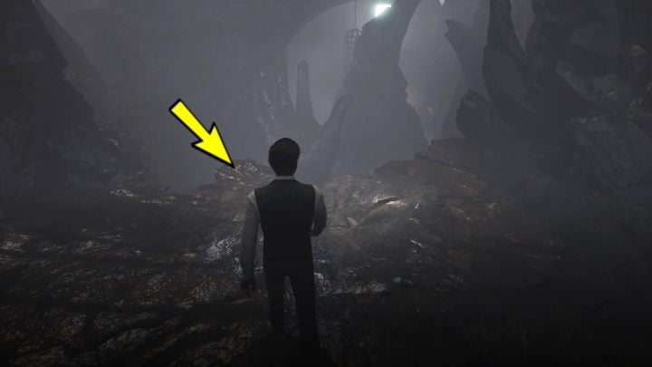 3 - Sherlock Holmes The Awakened: The Cave - Sherlock Holmes The Awakened: Chapter 6 - Wetlands - Sherlock Holmes The Awakened Walkthrough