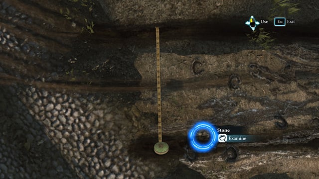 In the close-up mode, measure the distance between the traces and examine the Stone nearby - Sherlock Holmes Crimes and Punishments: Examine the side railway branch that leads to the quarry and inspect the beach area around the lake - Sherlock Holmes Crimes and Punishments: Riddle On The Rails - Sherlock Holmes: Crimes and Punishments Game Guide