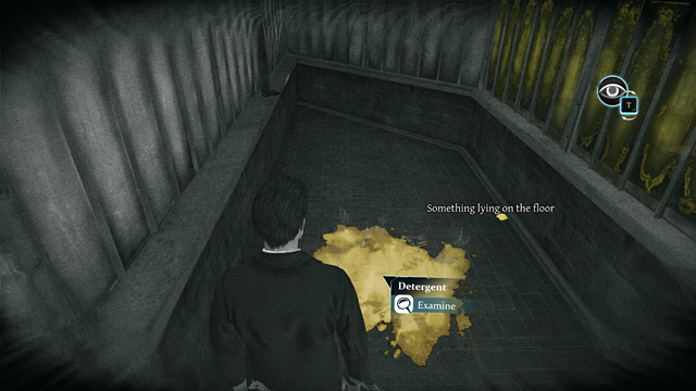 The Detergent and the Stone chip. - Sherlock Holmes Crimes and Punishments: Examine the Colonial Collection - Sherlock Holmes Crimes and Punishments: The Kew Gardens Drama - Sherlock Holmes: Crimes and Punishments Game Guide