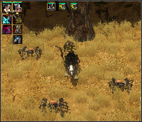 There is a hill in the Northeast, you can find there Orc Itza (7) - Magnet Stones | Chapter: The Black Mirror - Chapter: The Black Mirror - Spellforce 2: Shadow Wars Game Guide